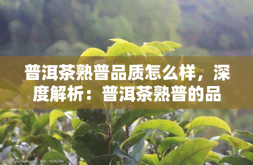 普洱茶熟普品质怎么样，深度解析：普洱茶熟普的品质究竟如何？