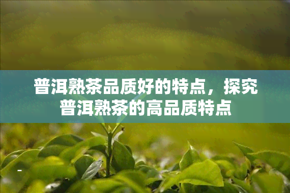 普洱熟茶品质好的特点，探究普洱熟茶的高品质特点