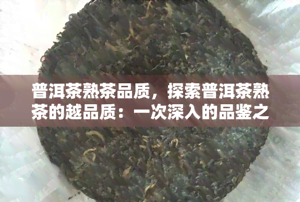 普洱茶熟茶品质，探索普洱茶熟茶的越品质：一次深入的品鉴之旅