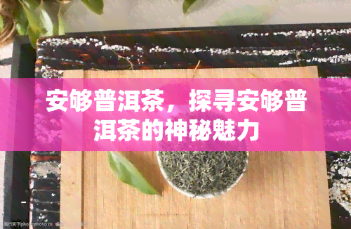 安够普洱茶，探寻安够普洱茶的神秘魅力