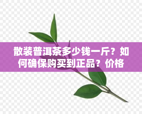 散装普洱茶多少钱一斤？如何确保购买到正品？价格围是多少？