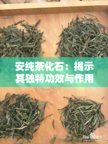 安纯茶化石：揭示其独特功效与作用