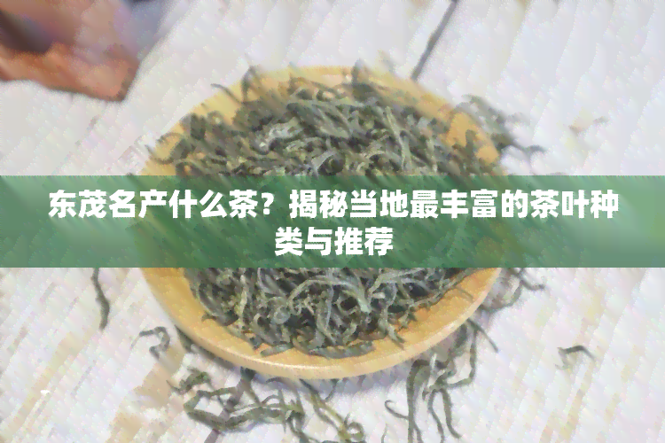 东茂名产什么茶？揭秘当地最丰富的茶叶种类与推荐