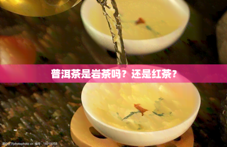 普洱茶是岩茶吗？还是红茶？