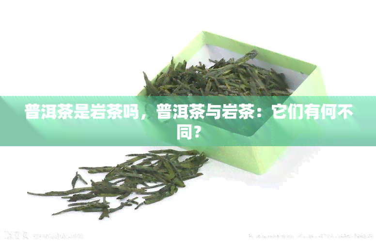 普洱茶是岩茶吗，普洱茶与岩茶：它们有何不同？