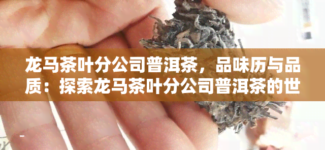 龙马茶叶分公司普洱茶，品味历与品质：探索龙马茶叶分公司普洱茶的世界