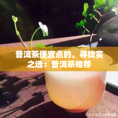 普洱茶便宜点的，寻找实之选：普洱茶推荐