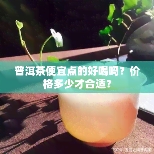 普洱茶便宜点的好喝吗？价格多少才合适？