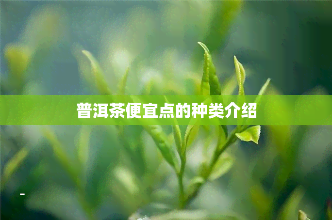 普洱茶便宜点的种类介绍