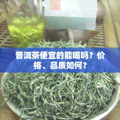 普洱茶便宜的能喝吗？价格、品质如何？