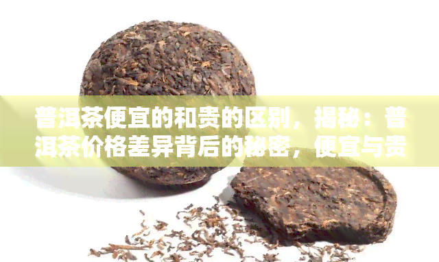 普洱茶便宜的和贵的区别，揭秘：普洱茶价格差异背后的秘密，便宜与贵有何区别？