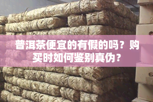 普洱茶便宜的有假的吗？购买时如何鉴别真伪？