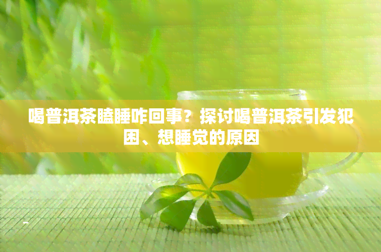 喝普洱茶瞌睡咋回事？探讨喝普洱茶引发犯困、想睡觉的原因