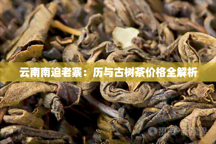 云南南迫老寨：历与古树茶价格全解析