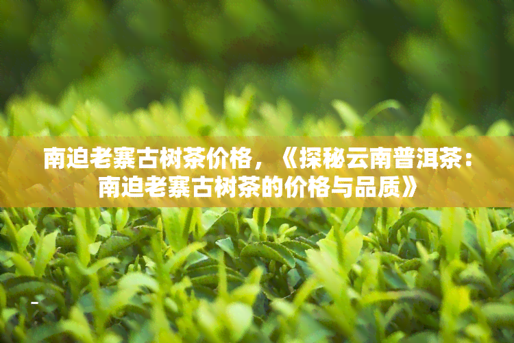 南迫老寨古树茶价格，《探秘云南普洱茶：南迫老寨古树茶的价格与品质》