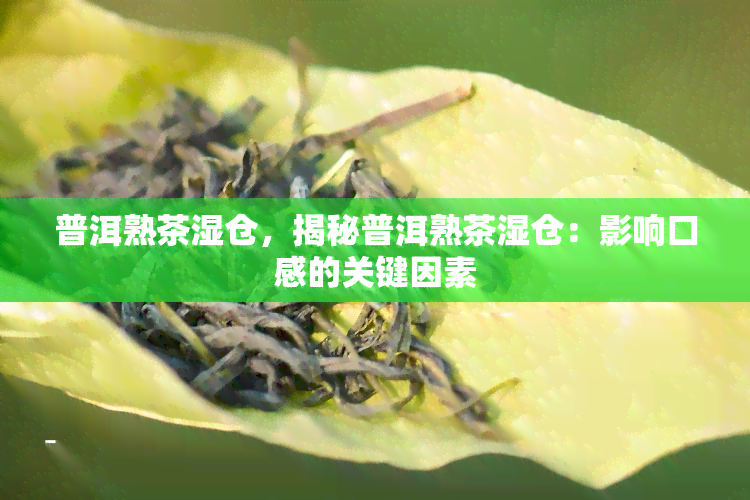 普洱熟茶湿仓，揭秘普洱熟茶湿仓：影响口感的关键因素