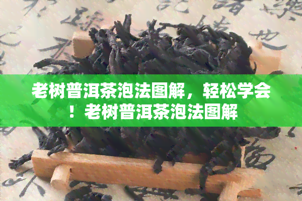 老树普洱茶泡法图解，轻松学会！老树普洱茶泡法图解