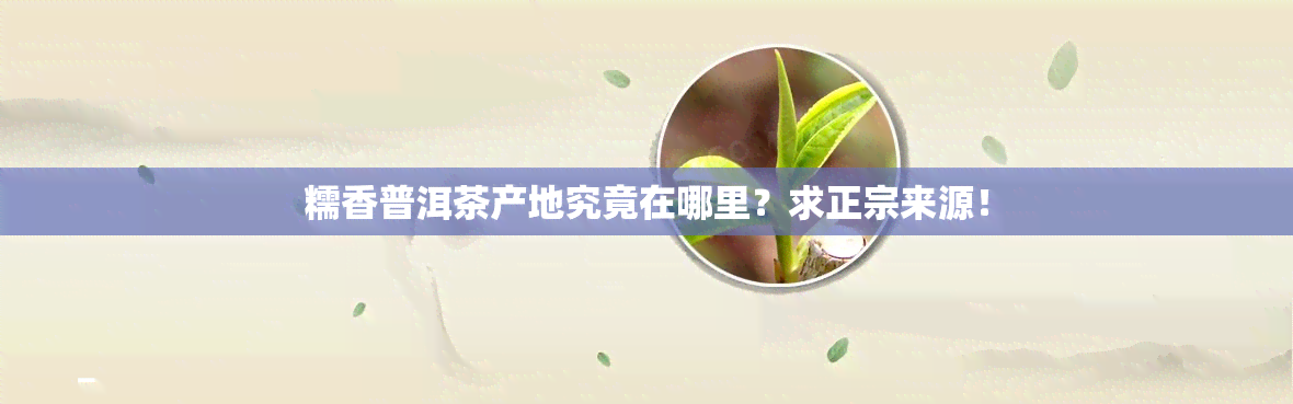 糯香普洱茶产地究竟在哪里？求正宗来源！