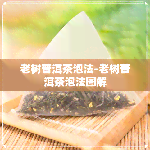 老树普洱茶泡法-老树普洱茶泡法图解