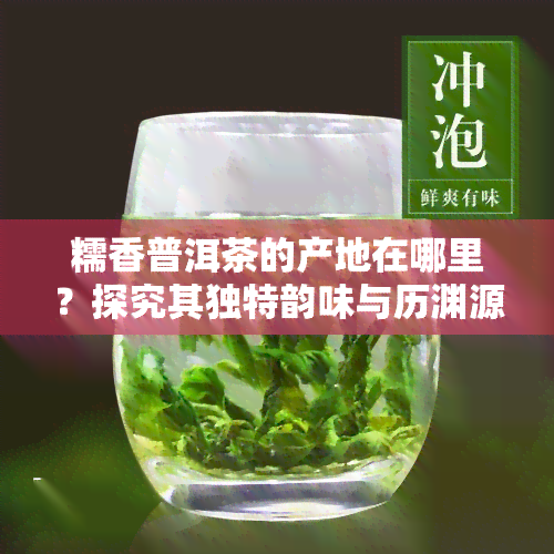 糯香普洱茶的产地在哪里？探究其独特韵味与历渊源