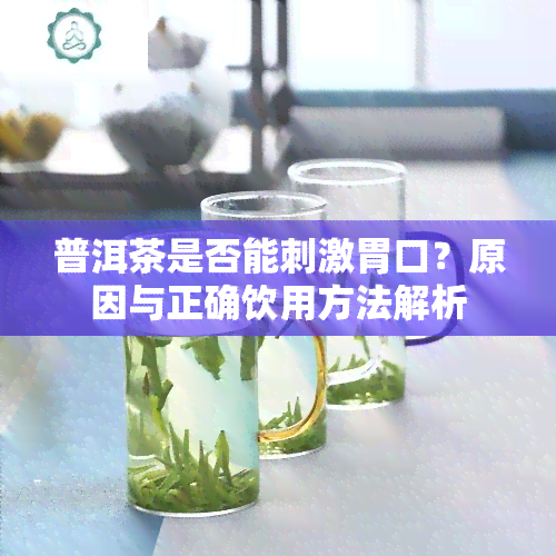 普洱茶是否能刺激胃口？原因与正确饮用方法解析