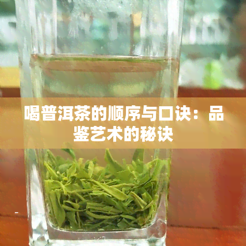 喝普洱茶的顺序与口诀：品鉴艺术的秘诀