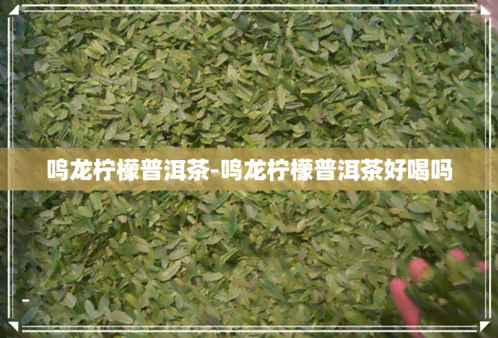 鸣龙柠檬普洱茶-鸣龙柠檬普洱茶好喝吗