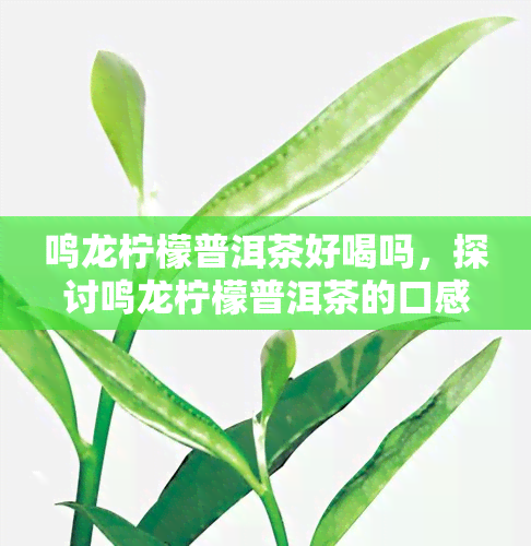 鸣龙柠檬普洱茶好喝吗，探讨鸣龙柠檬普洱茶的口感：是否值得一试？