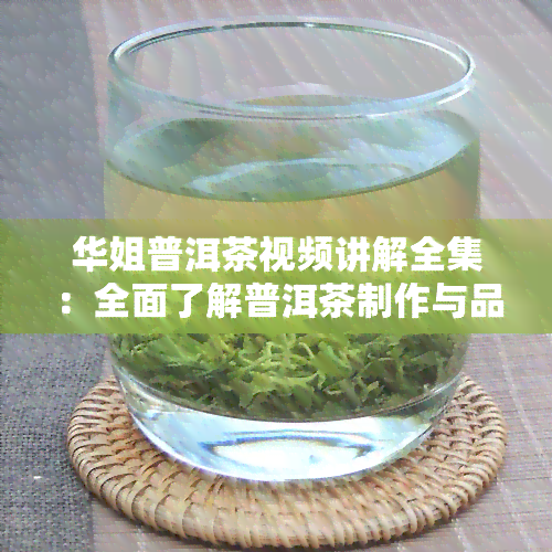 华姐普洱茶视频讲解全集：全面了解普洱茶制作与品鉴技巧