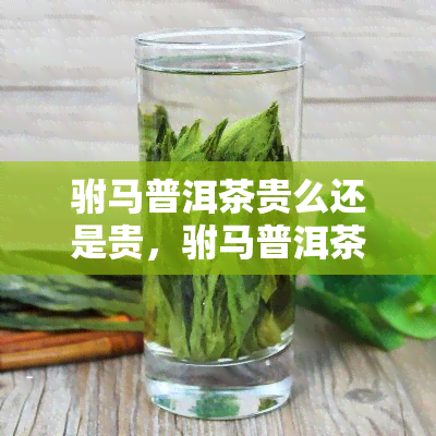 驸马普洱茶贵么还是贵，驸马普洱茶：价格高吗？