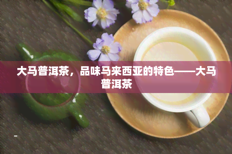 大马普洱茶，品味马来西亚的特色——大马普洱茶