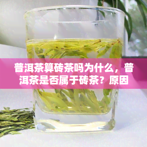 普洱茶算砖茶吗为什么，普洱茶是否属于砖茶？原因解析