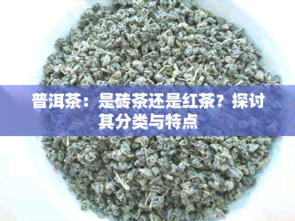 普洱茶：是砖茶还是红茶？探讨其分类与特点