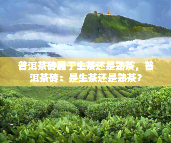 普洱茶砖属于生茶还是熟茶，普洱茶砖：是生茶还是熟茶？