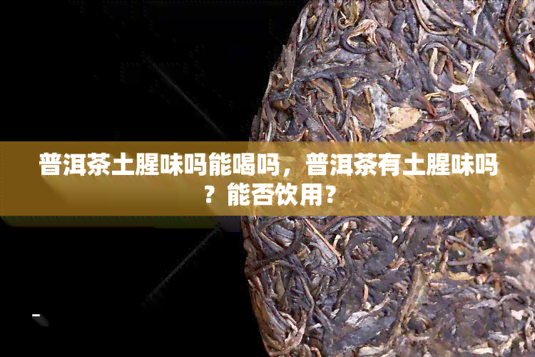 普洱茶土腥味吗能喝吗，普洱茶有土腥味吗？能否饮用？