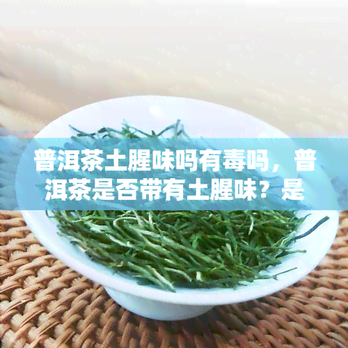 普洱茶土腥味吗有吗，普洱茶是否带有土腥味？是否有？探讨其来源与安全性