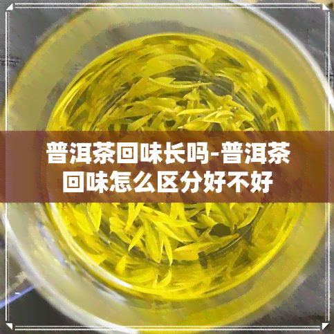 普洱茶回味长吗-普洱茶回味怎么区分好不好