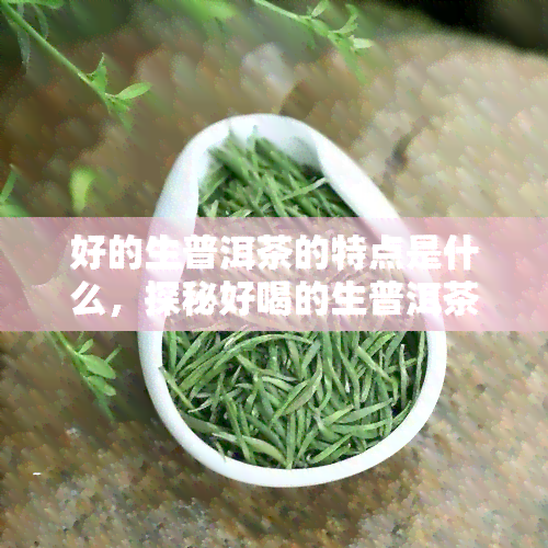 好的生普洱茶的特点是什么，探秘好喝的生普洱茶：特点解析