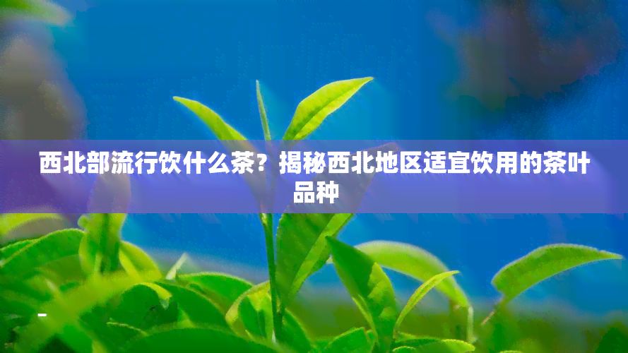 西北部流行饮什么茶？揭秘西北地区适宜饮用的茶叶品种