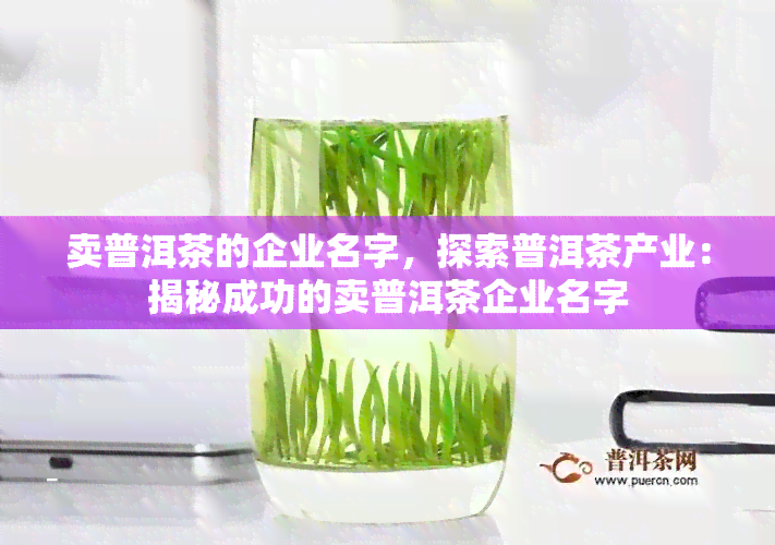 卖普洱茶的企业名字，探索普洱茶产业：揭秘成功的卖普洱茶企业名字