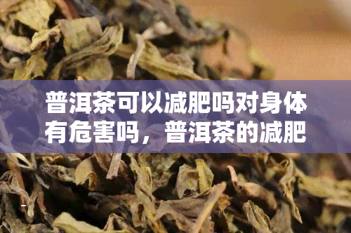 普洱茶可以减肥吗对身体有危害吗，普洱茶的减肥效果及可能的身体危害：你需要知道的一切