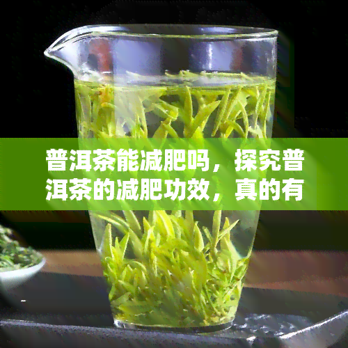 普洱茶能减肥吗，探究普洱茶的减肥功效，真的有效吗？