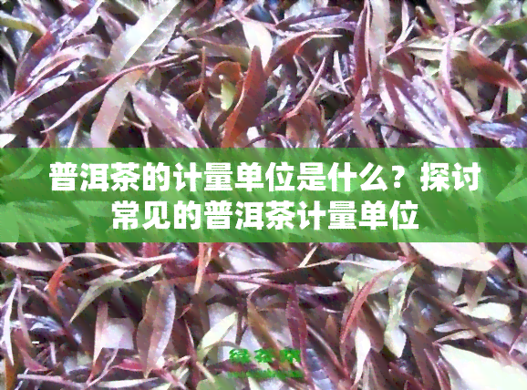 普洱茶的计量单位是什么？探讨常见的普洱茶计量单位