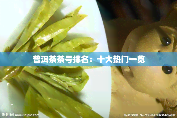 普洱茶茶号排名：十大热门一览