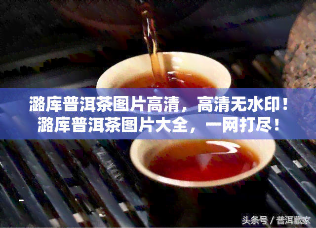 潞库普洱茶图片高清，高清无水印！潞库普洱茶图片大全，一网打尽！