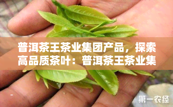 普洱茶王茶业集团产品，探索高品质茶叶：普洱茶王茶业集团的越产品