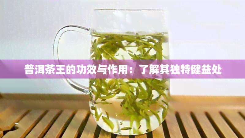 普洱茶王的功效与作用：了解其独特健益处