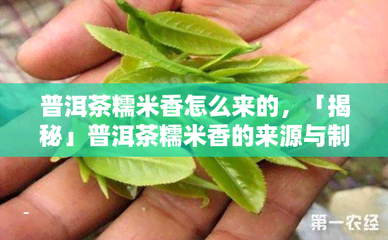 普洱茶糯米香怎么来的，「揭秘」普洱茶糯米香的来源与制作工艺