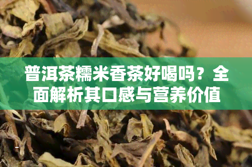 普洱茶糯米香茶好喝吗？全面解析其口感与营养价值