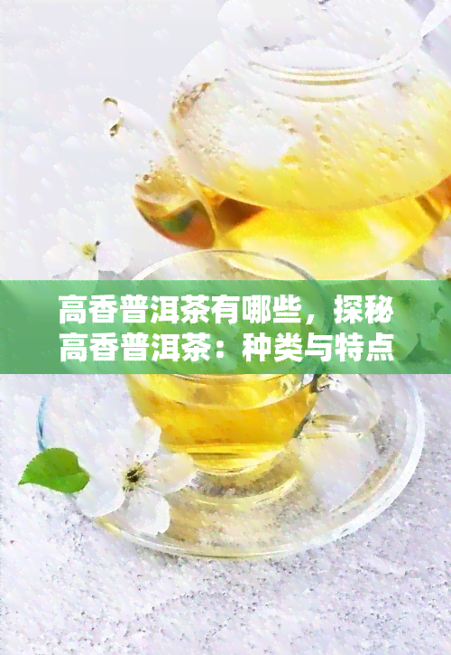 高香普洱茶有哪些，探秘高香普洱茶：种类与特点解析